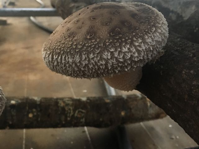 �傫���ē���_�I������������