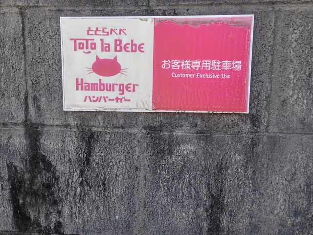 50̃Xm[{[h񂳂̂ssEEaEg̓eʐ^5