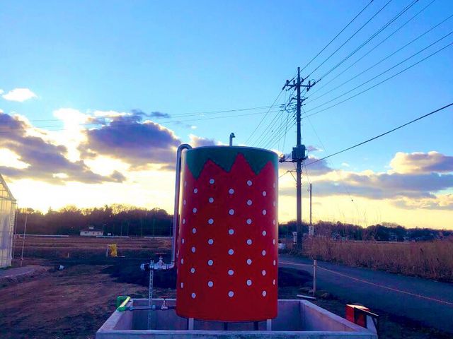 �C�`�S�͗l�^���N�I_�|���|���R�X�g���x���[(Pon Pon YAMA Strawberry)