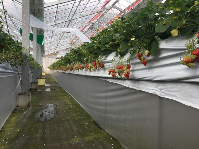 ��l���q�������x�ǂ������ł���_���؂������_��