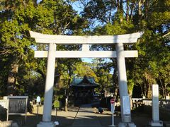 �j�R����񂳂�̌��_�Ђւ̓��e�ʐ^1