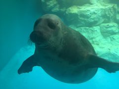 大分マリーンパレス水族館 うみたまご の口コミ一覧 じゃらんnet