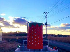 ܂̃||RXgx[(Pon Pon YAMA Strawberry)ւ̓eʐ^1