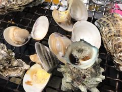 anego����̂Ђ낿���J�L�ւ̓��e�ʐ^1