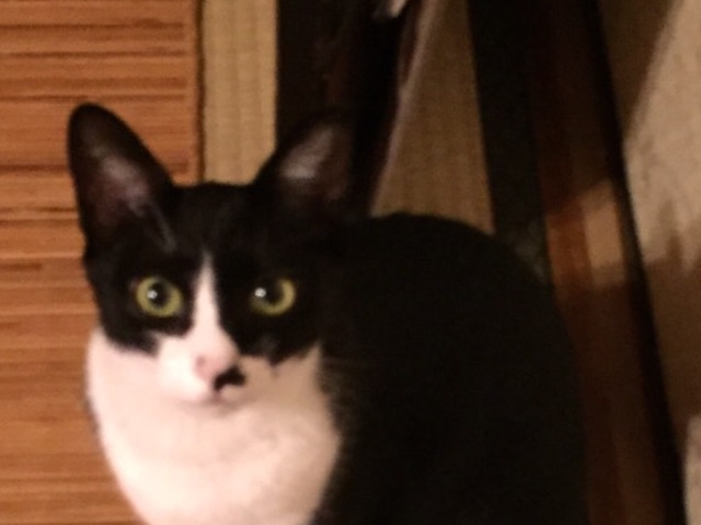 �F�䂤�����
�˂�����炵�ŗV�Ԃ̑�D���A��R������ł���܂����I_�ی�L�J�t�F�@�ΔL