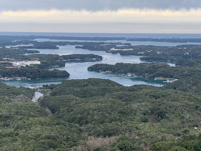 �W�]�䂩��̌i�F_���R�W�]�� (���R�V��J�t�F�e���X)