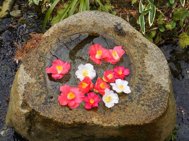 ����b�ώR��