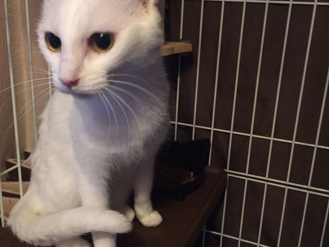 �P�Ђ߂����I���������āA���������ł����[���������ł��A_�ی�L�J�t�F�@�ΔL