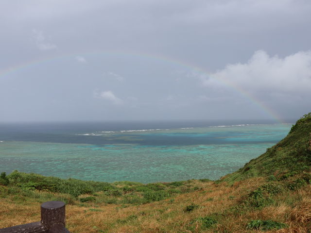 JオuԂɓ܂IBeςYȊCɓōłI_vۍ