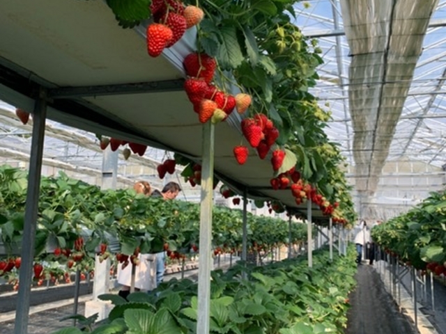 �����͔|_�x�ÃA�N�A�t�@�[��