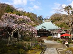 海蔵寺の口コミ一覧 じゃらんnet