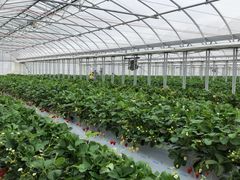 ͂邩̂񂽃t@[ւ̓eʐ^1