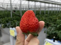 낤̂񂽃t@[ւ̓eʐ^1