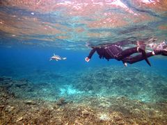 ΂񂳂̃}T[rX@pb\ւ̓eʐ^1