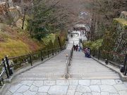 �}�b�N����̐��������̉@�̓��e�ʐ^4