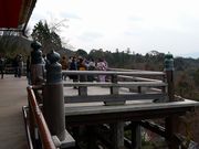 �}�b�N����̐��������̉@�̓��e�ʐ^6