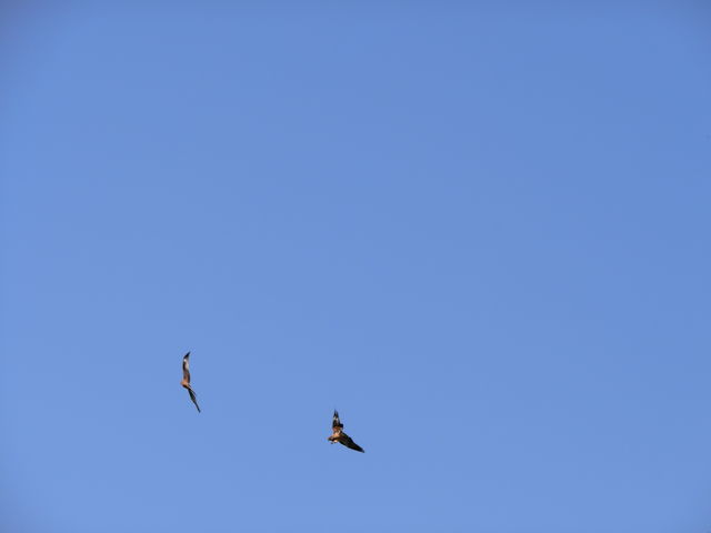 ���v�ޓx�_��