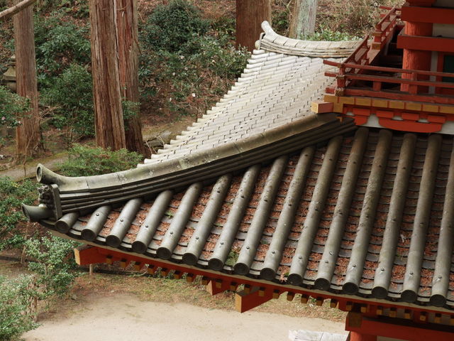 ��������̃A���O�����C�ɓ���܂����I_��D��