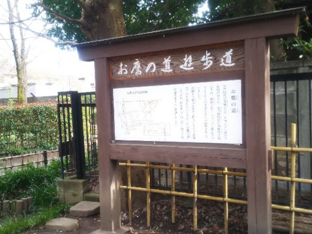 �u�����邨��̓��Ń��t���b�V��_����̓��E�^�p�̒r�N���Q