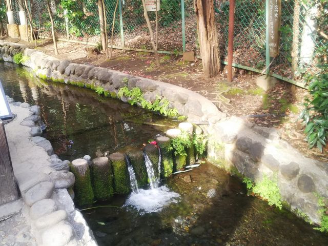 �N����������ł��Ă��ꂢ�Ȑ^�p�̒r�N���Q_����̓��E�^�p�̒r�N���Q