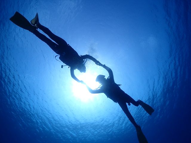 �c�Ǌ�_R-MATES Okinawa Diving Club
