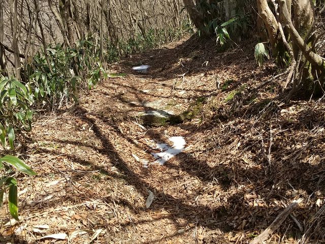 �o�R���̎c��_�ɐ��R