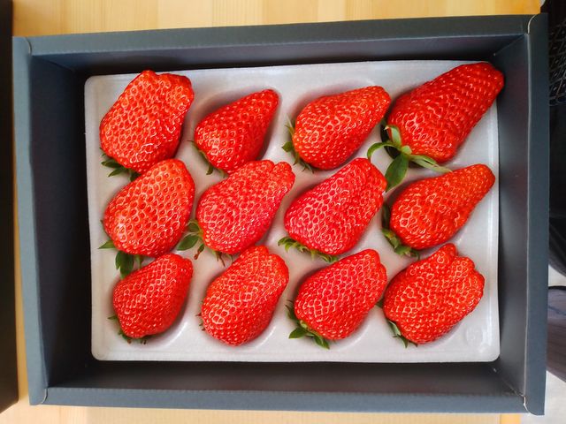 �����p�̂������o�b�N�𔃂����B_�R���R���������t�@�[��