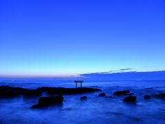 �R�o����񂳂�̑��C�݂ւ̓��e�ʐ^1