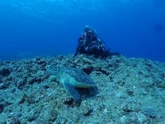 䂫̃}nEXJiAւ̓eʐ^1