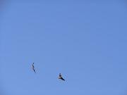 ���܂�����̍��v�ޓx�_�Ђ̓��e�ʐ^1