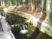 TN̂̓E^p̒rNQ̓eʐ^2