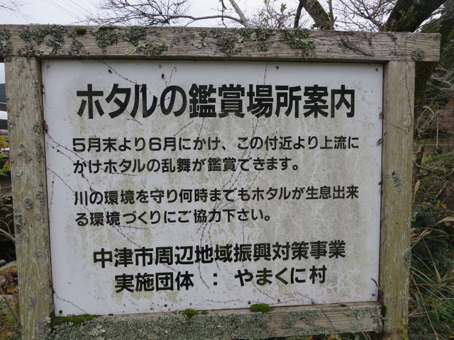 Ԃ񂳂̓ciRxj̓eʐ^2