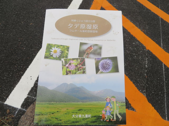 Ԃ񂳂̒ҌrW^[Z^[όē̓eʐ^1