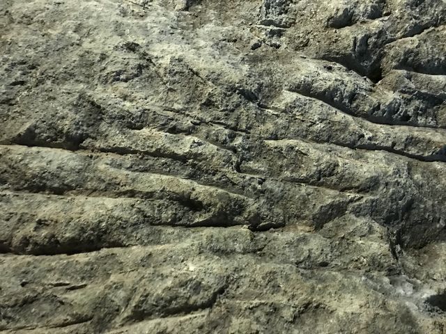 ���B���@�݂̂̈����~������_�������ԕ�