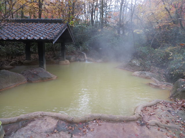 �V����_⣂̌�����