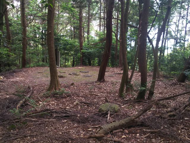 �݂ǂ肳��̑�R�p���Ղ̓��e�ʐ^4