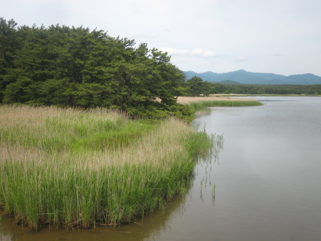 ���ӂ̎���_�\�O��