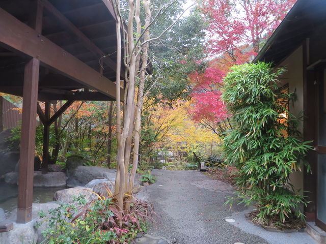 Ԃ񂳂̋g˂̓̓eʐ^1