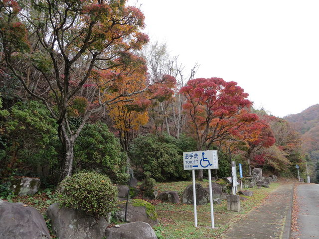 Ԃ񂳂̖nk_݂̋u̓eʐ^2