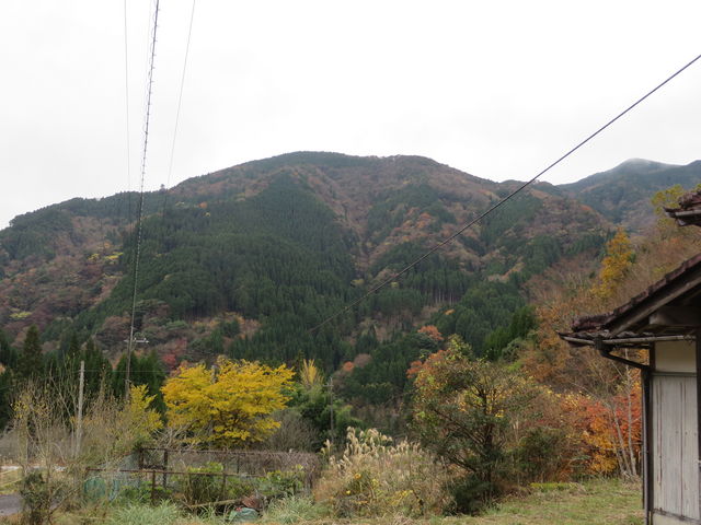 Ԃ񂳂̑叫wR̓eʐ^1