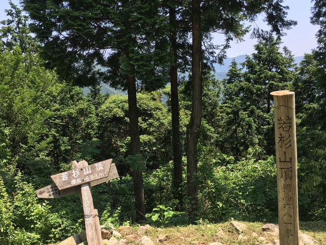 ᐙRŘiF̓C}C`c
ᐙRƕĂ̎RAԈႦĂl߂I_ᐙR