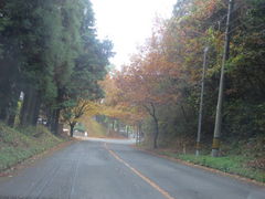 �Ԃ���񂳂�̂͂��̓�����ւ̓��e�ʐ^1