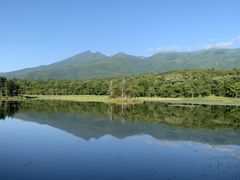 ܁[񂳂̃ViSHINRAjւ̓eʐ^1