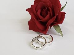 炭[Caravella@ւ̓eʐ^1