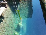 ۂ񂿂񂳂̋\pVD̓eʐ^1