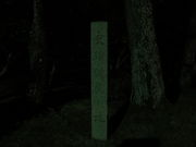 Ԃ񂳂̌̒ҎjՌ̓eʐ^1