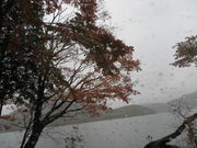 Ԃ񂳂̐YR̍gt̓eʐ^1