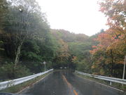 Ԃ񂳂̐YR̍gt̓eʐ^2