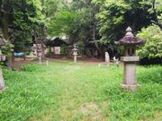 �݂ǂ肳��̑�R�p���Ղ̓��e�ʐ^2