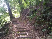 �݂ǂ肳��̑�R�p���Ղ̓��e�ʐ^3